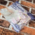 روبالشتی ضد باکتر 10 عددی ( خارجی )