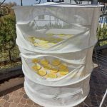 توری میوه خشک کن 3 طبقه - Image 3